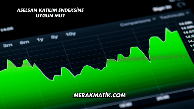 Aselsan Katılım Endeksine Uygun mu?