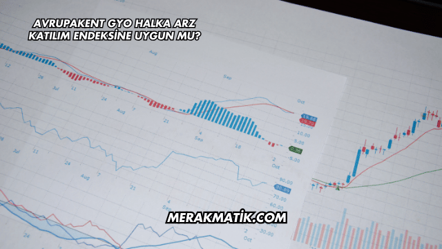 Avrupakent GYO Halka Arz Katılım Endeksine Uygun mu?