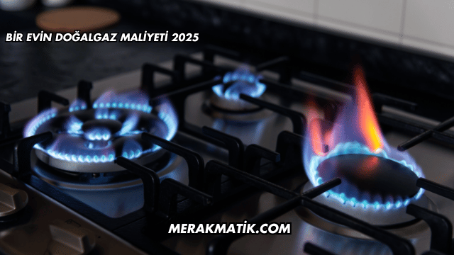 Bir Evin Doğalgaz Maliyeti 2025