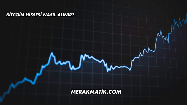 Bitcoin Hissesi Nasıl Alınır?