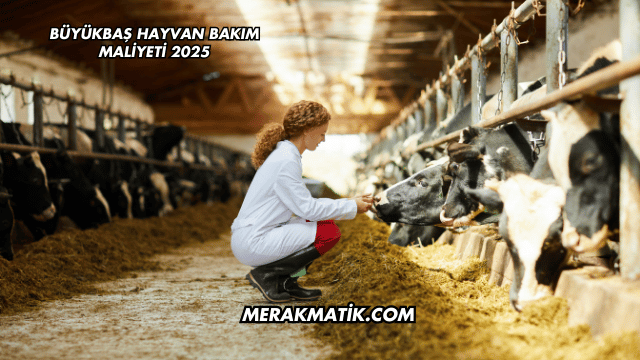 Büyükbaş Hayvan Bakım Maliyeti 2025