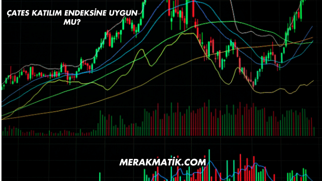 ÇATES Katılım Endeksine Uygun mu?