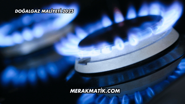 Doğalgaz Maliyeti 2025