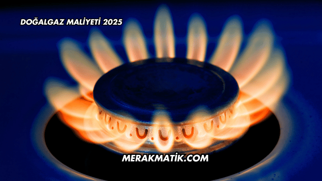 Doğalgaz Maliyeti 2025