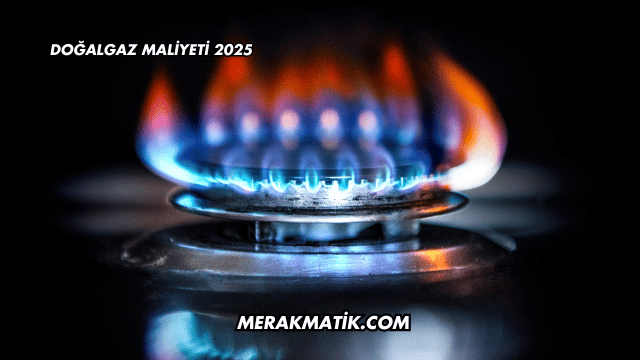 Doğalgaz Maliyeti 2025