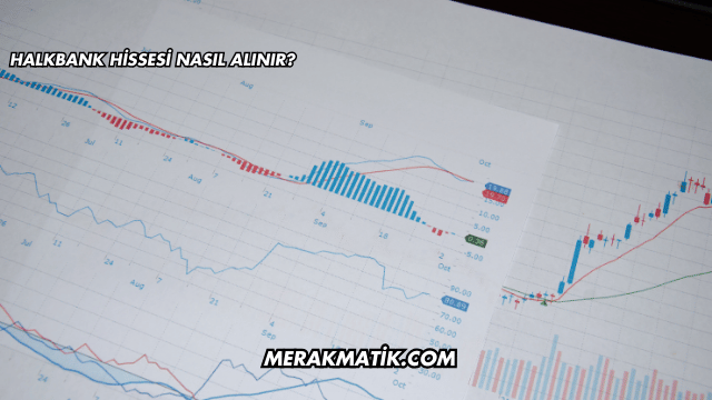 Halkbank Hissesi Nasıl Alınır?