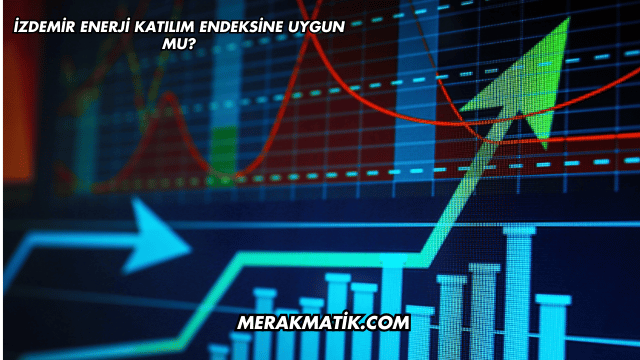 İZDEMİR Enerji Katılım Endeksine Uygun mu?