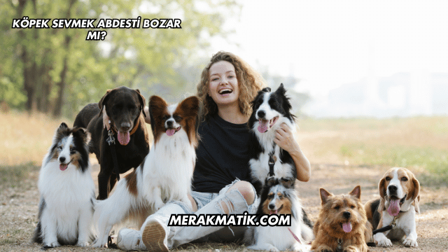 Köpek Sevmek Abdesti Bozar mı?