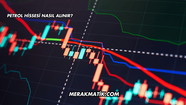 Petrol Hissesi Nasıl Alınır?