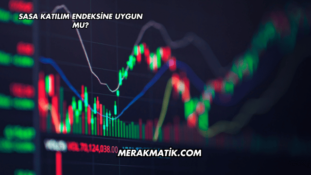 Sasa Katılım Endeksine Uygun mu?