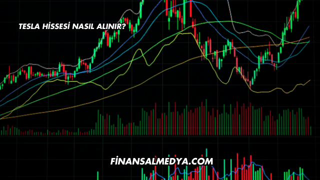 Tesla Hissesi Nasıl Alınır?