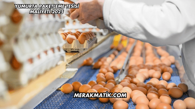 Yumurta Paketleme Tesisi Maliyeti 2025